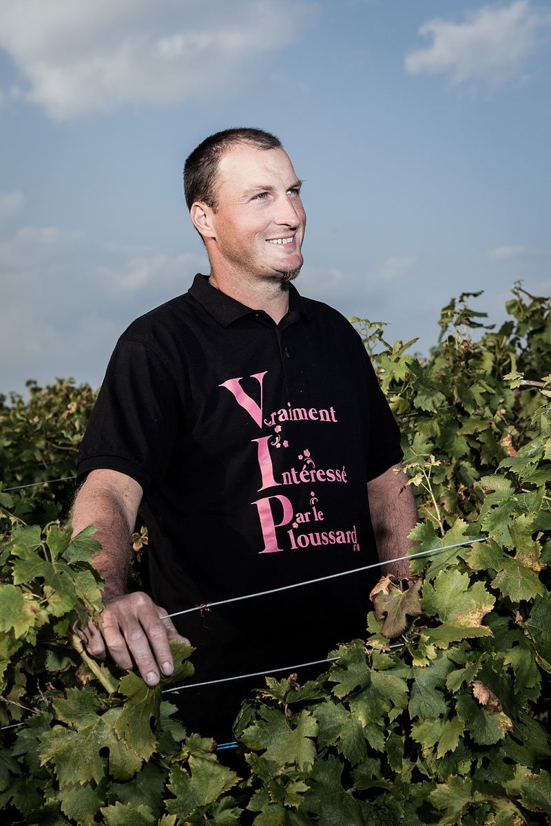 Portrait d'un vigneron du Jura dans ses vignes