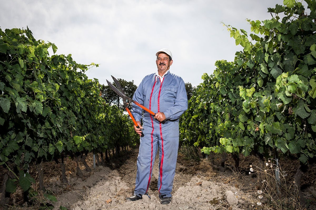 Portrait d'un vigneron du domaine Pey Blanc à Aix-en-Provence au milieu de la vigne