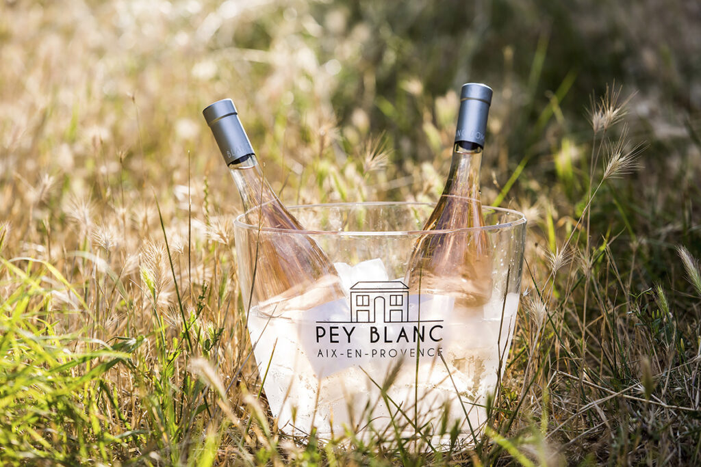 Sceau de glace dans l'herbe contenant deux bouteilles de rosé du domaine Pey Blanc situé à Aix-en-Provence par le photographe spécialisé dans le secteur viticole Denis Dalmasso.